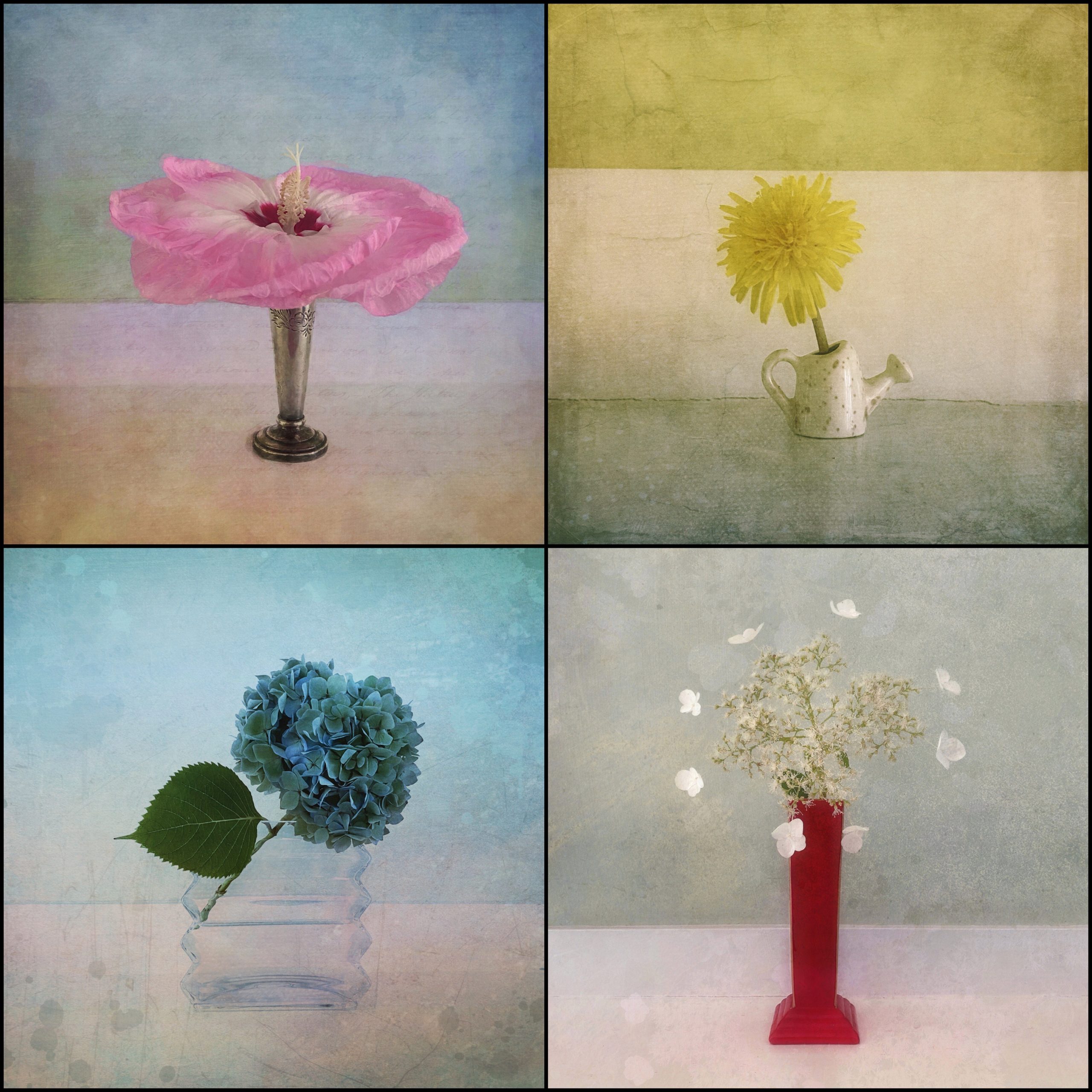 Barbara duBois – flora