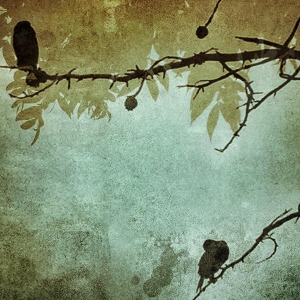 Barbara Dubois – Waiting (2011)