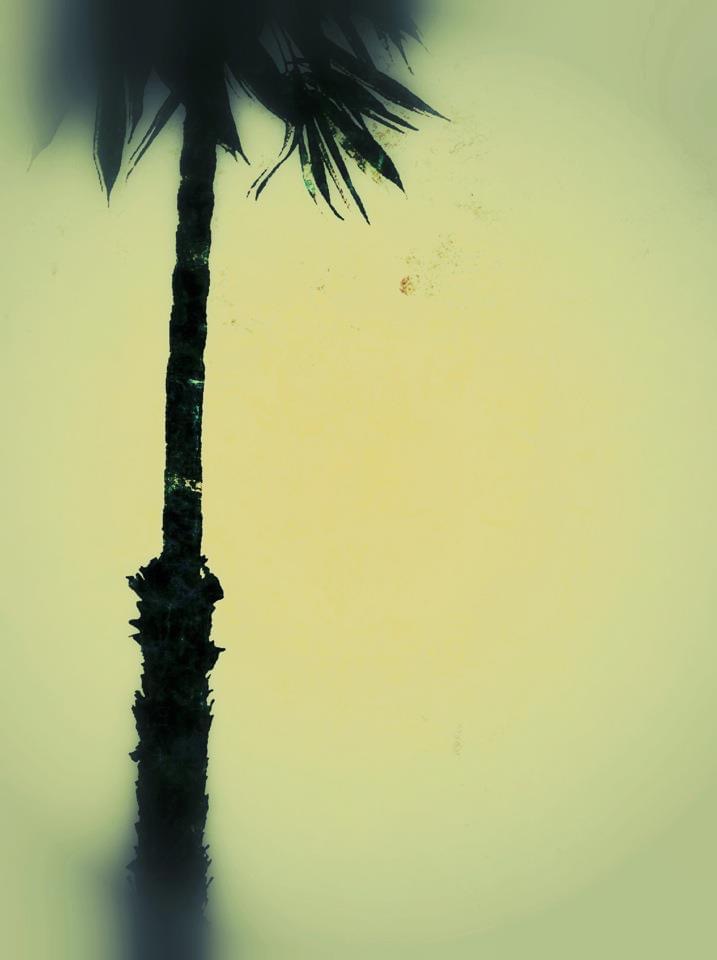 Barbara duBois – Palm (2011)