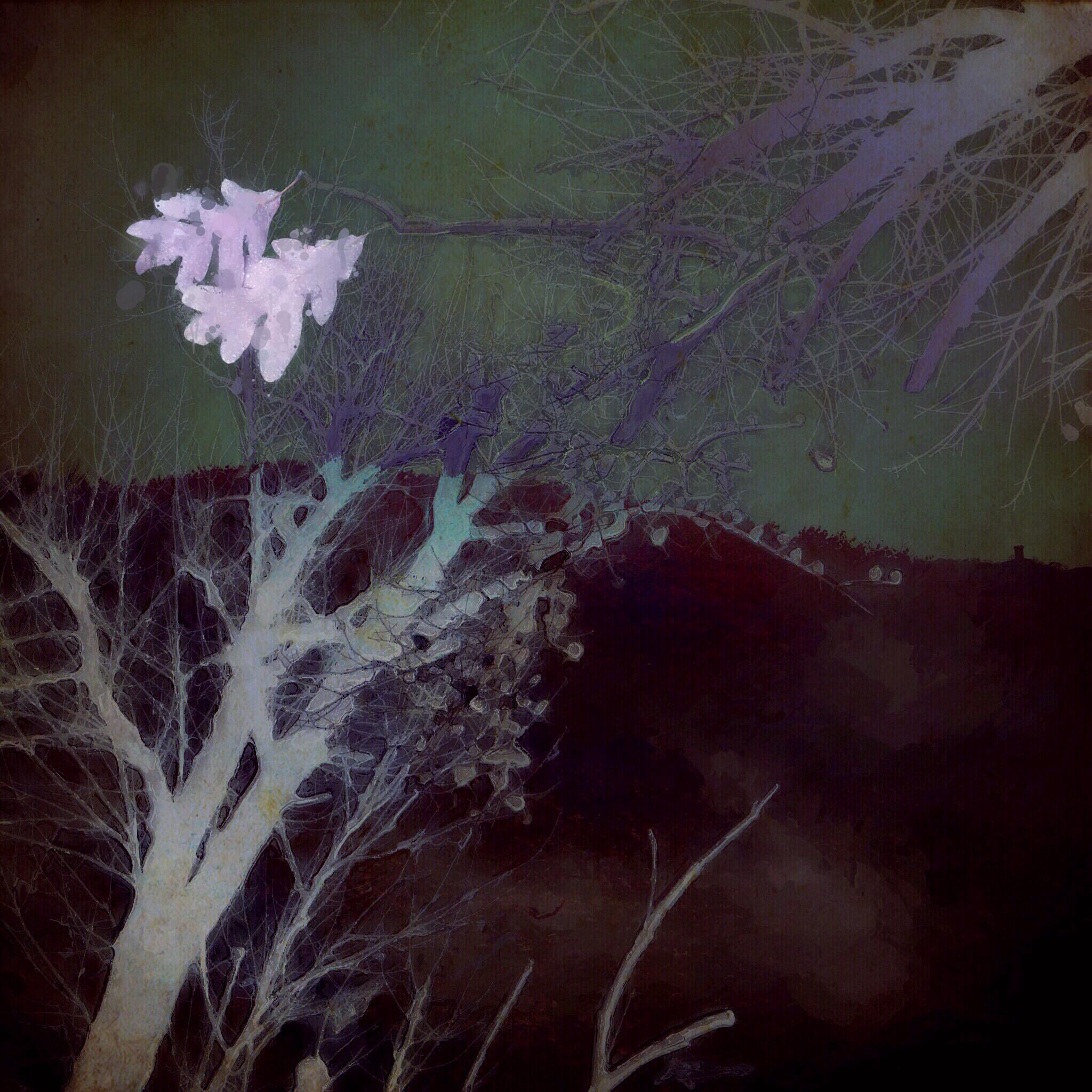 Barbara Dubois - Branches and Leaves (2013)