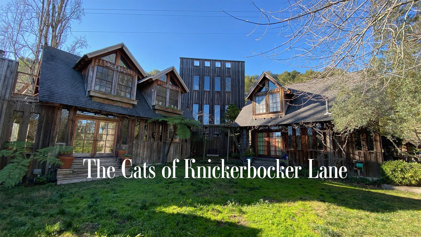 [votd] The Cats of Knickerbocker