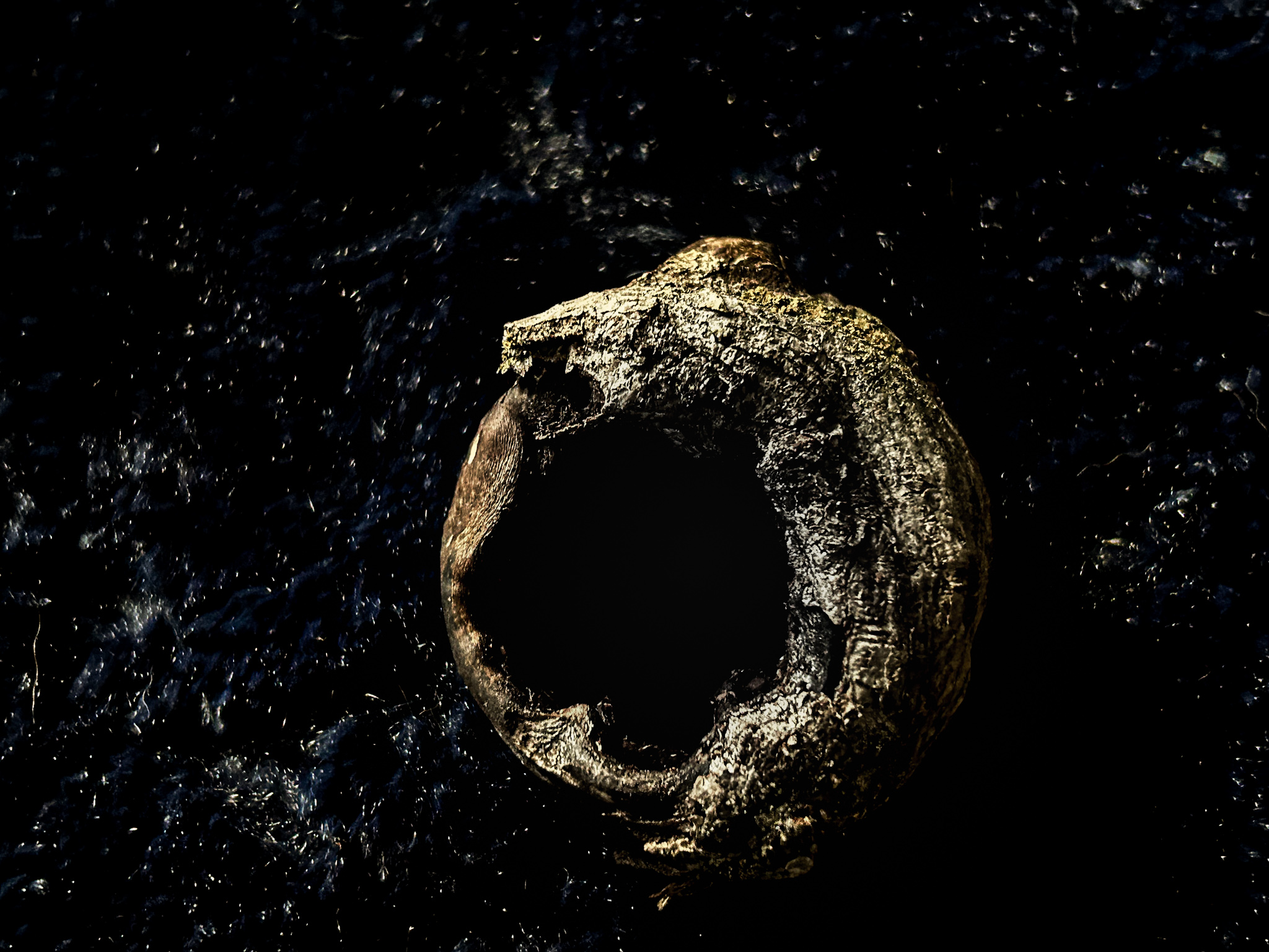 Christopher Swink – ouroboros