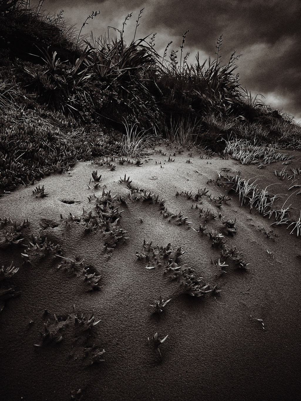 Leon Williams - Between showers