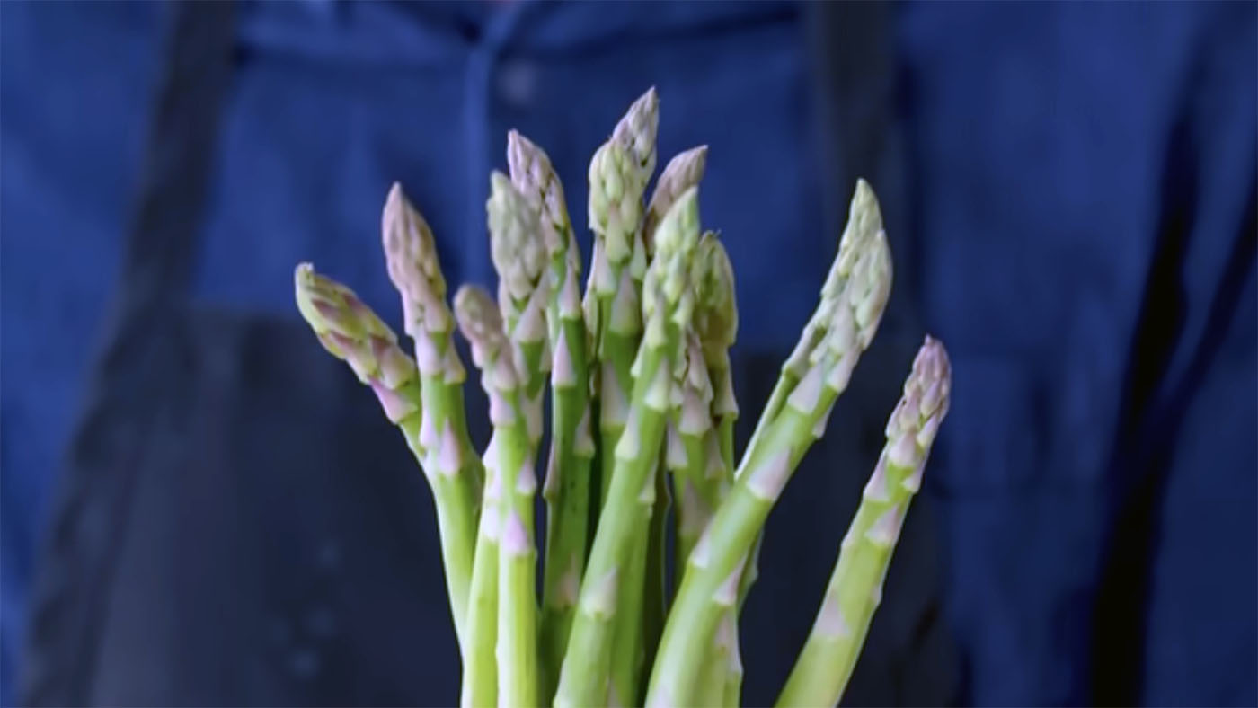 [votd] Why You Shouldn’t Snap the Ends Off Asparagus and Why You Should Overcook It