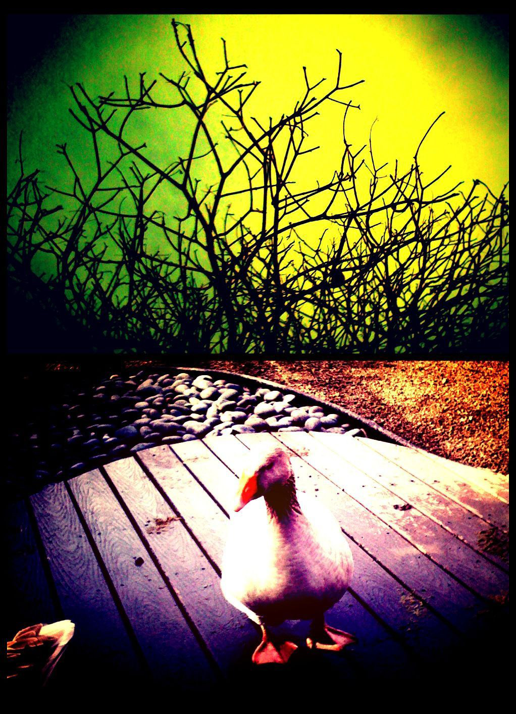 [sunday] Softly As I Leave You