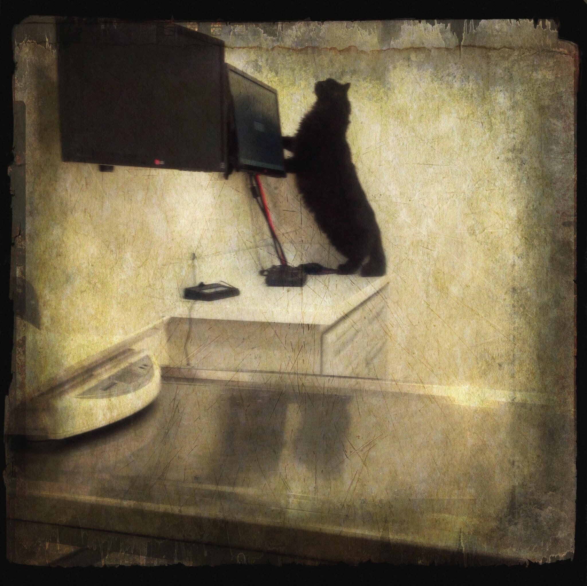 Barbara Dubois – Looking For An Out (2014)