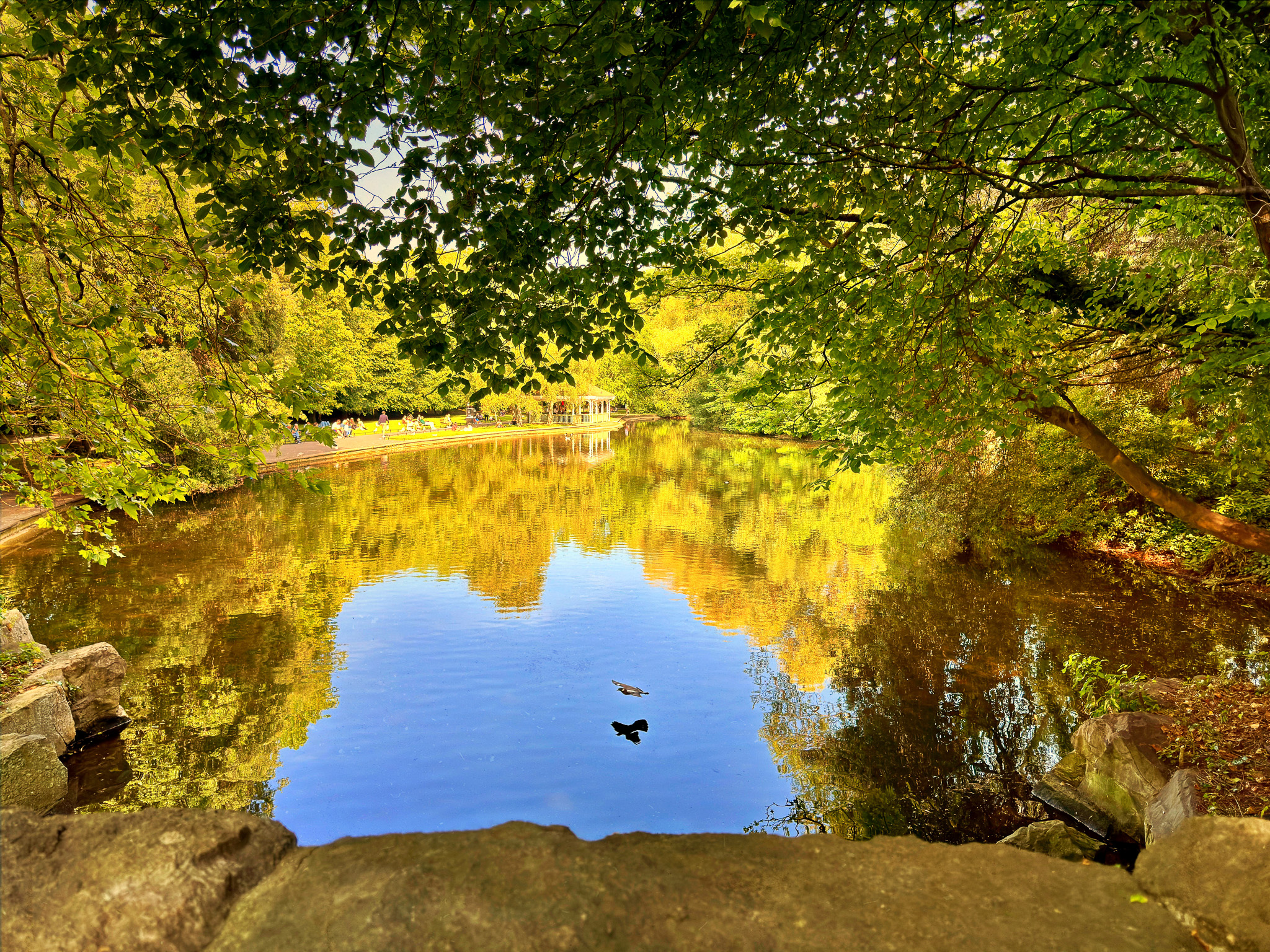 petyr campos - St. Stephen's Green, Dubliin Ireland