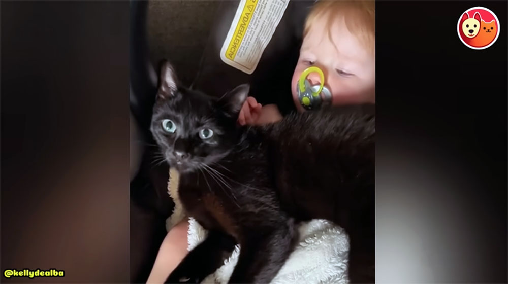 Kitty and Baby