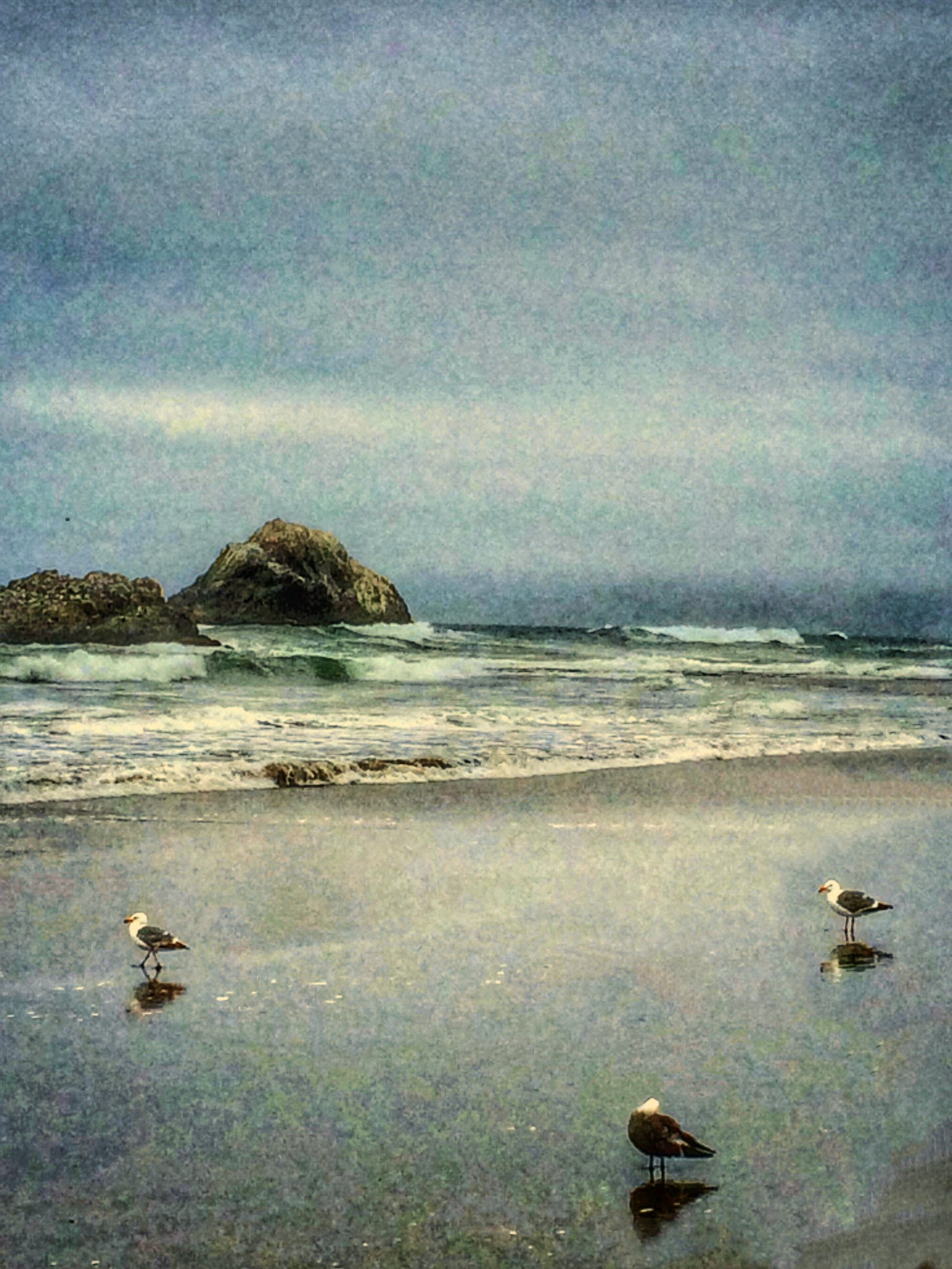 Knox Bronson—The Beachcombers