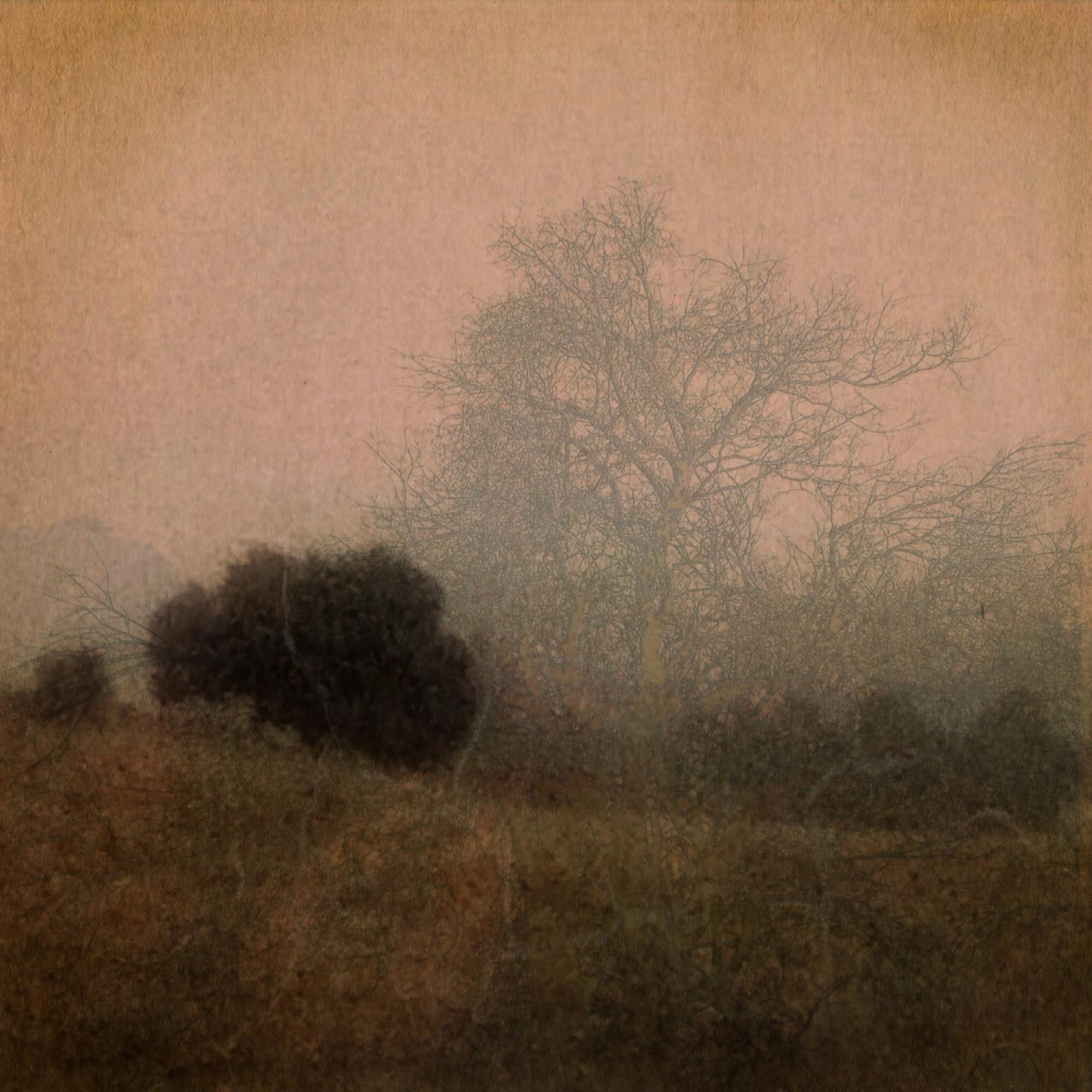 Barbara Dubois – “Wherever you stand be the soul of the place.” Rumi