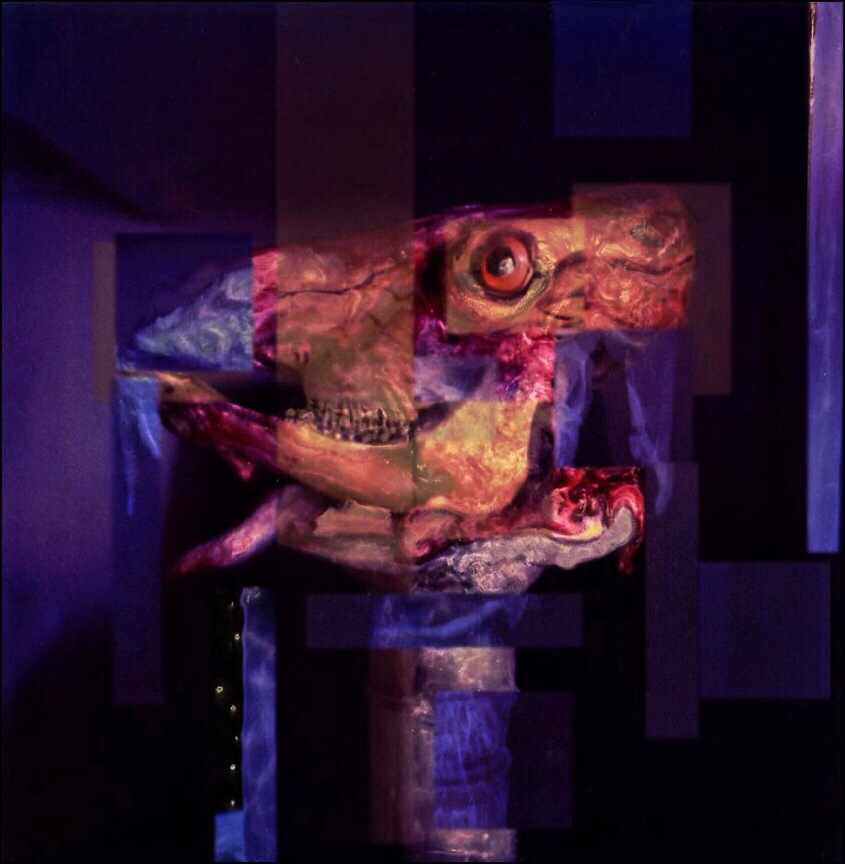 Damian De Souza - Untitled, 2003