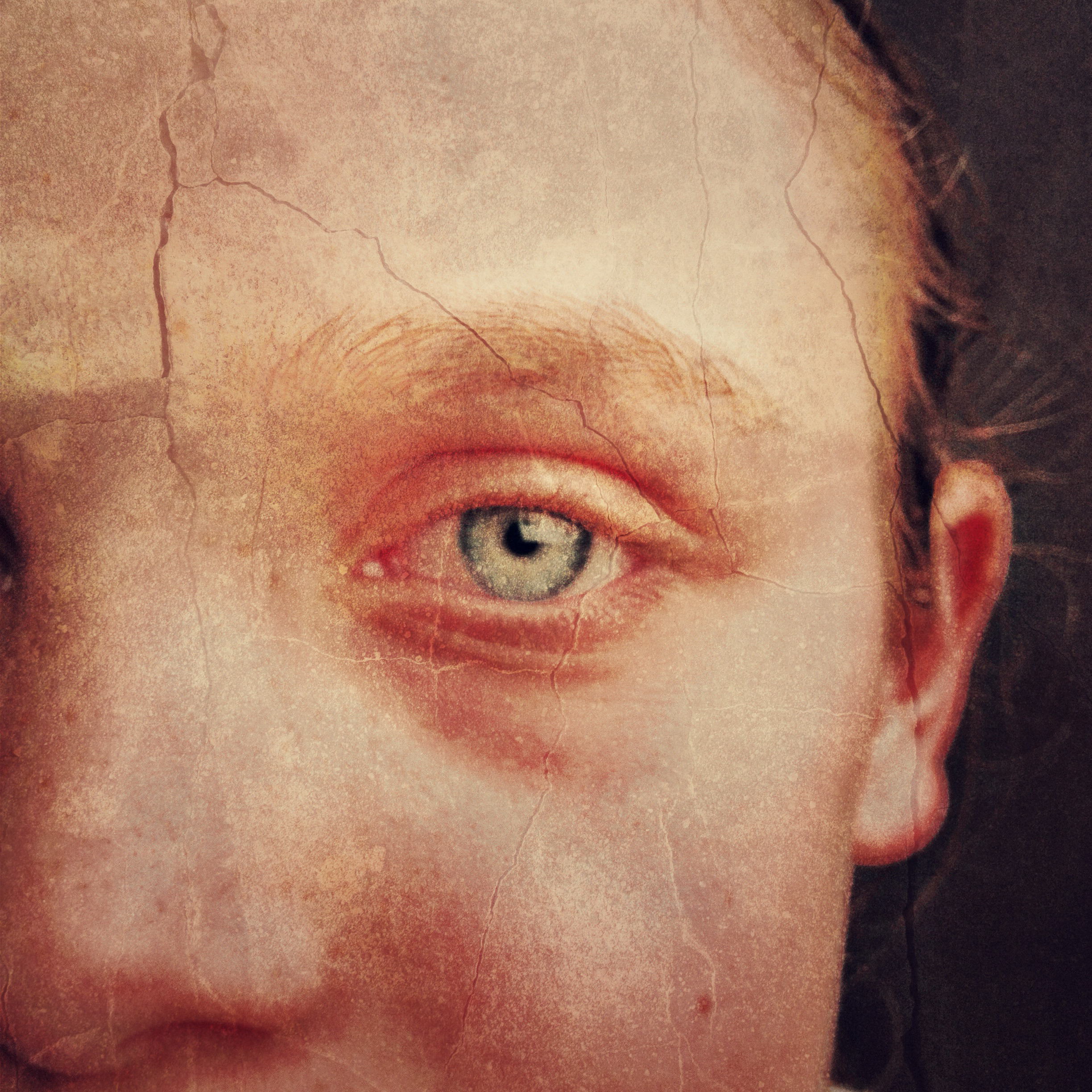 petyr campos – Fragility of Youth