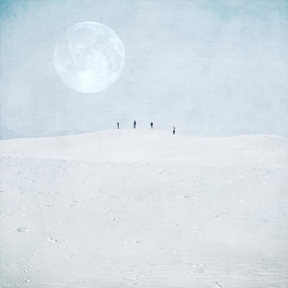 Barbara Dubois - White Sands National Park (2021)