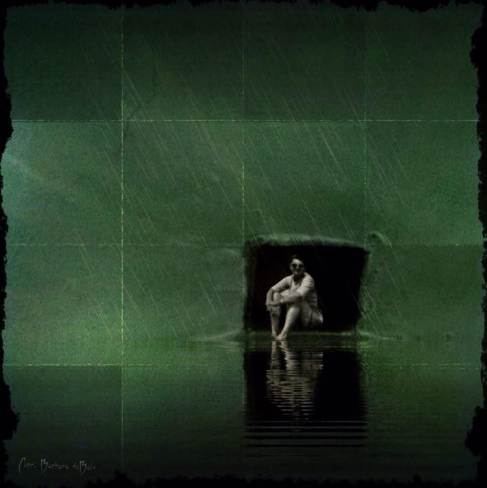 Barbara Dubois - Block Island (2012)