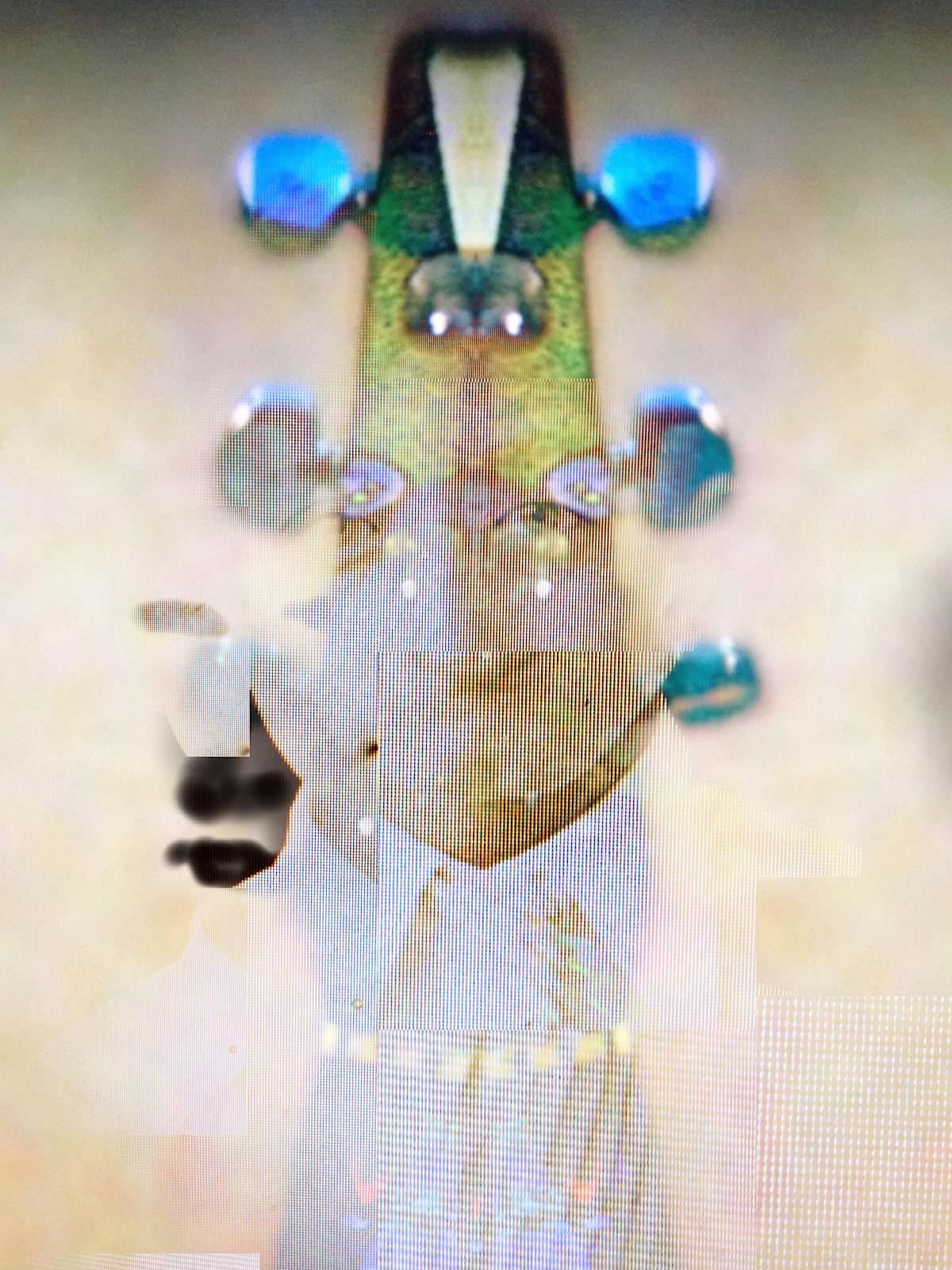 Wendell Peek - Keepers of the Myth