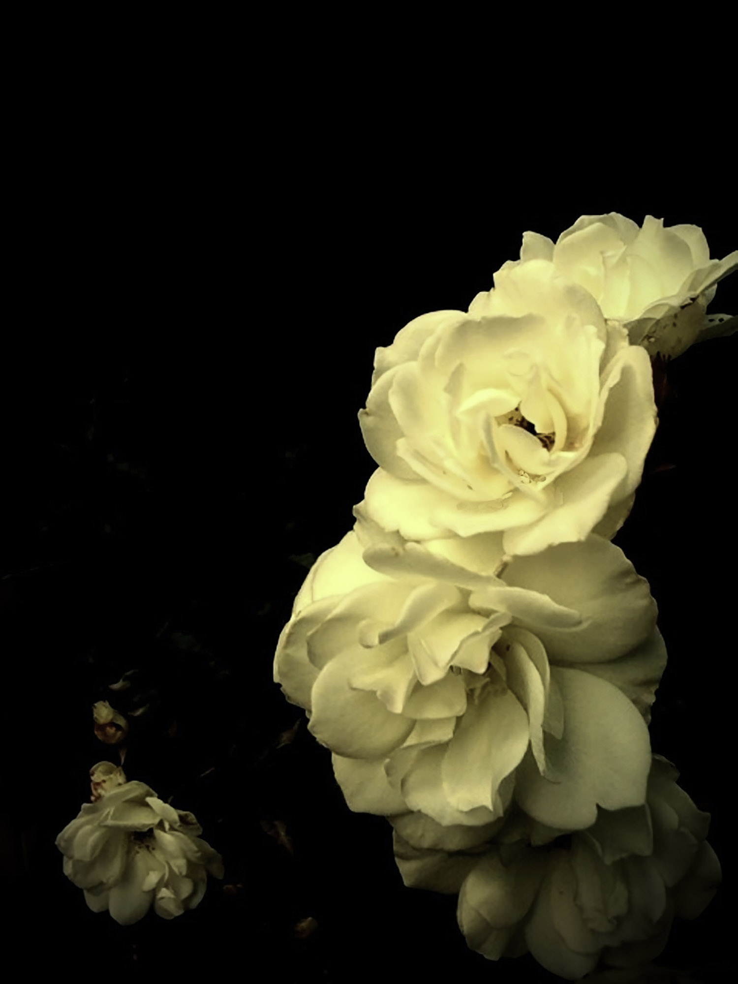 [sunday] I’ve Been Thinking About My Yesterdays