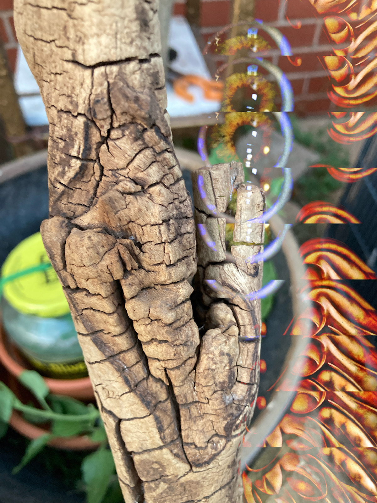 Wendell Peek - Garden shenanigans