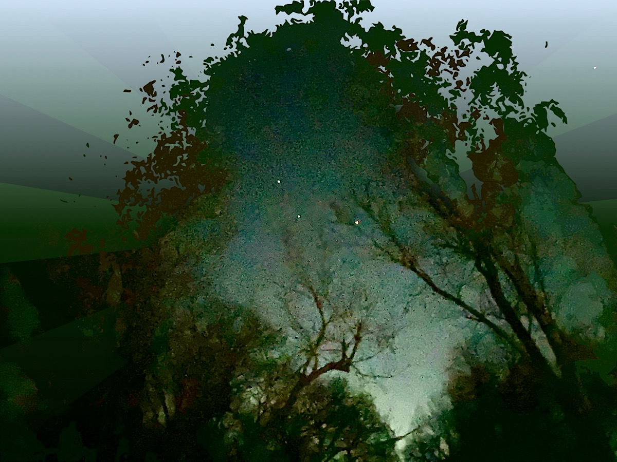 Wendell Peek - Jupiter in Gemini