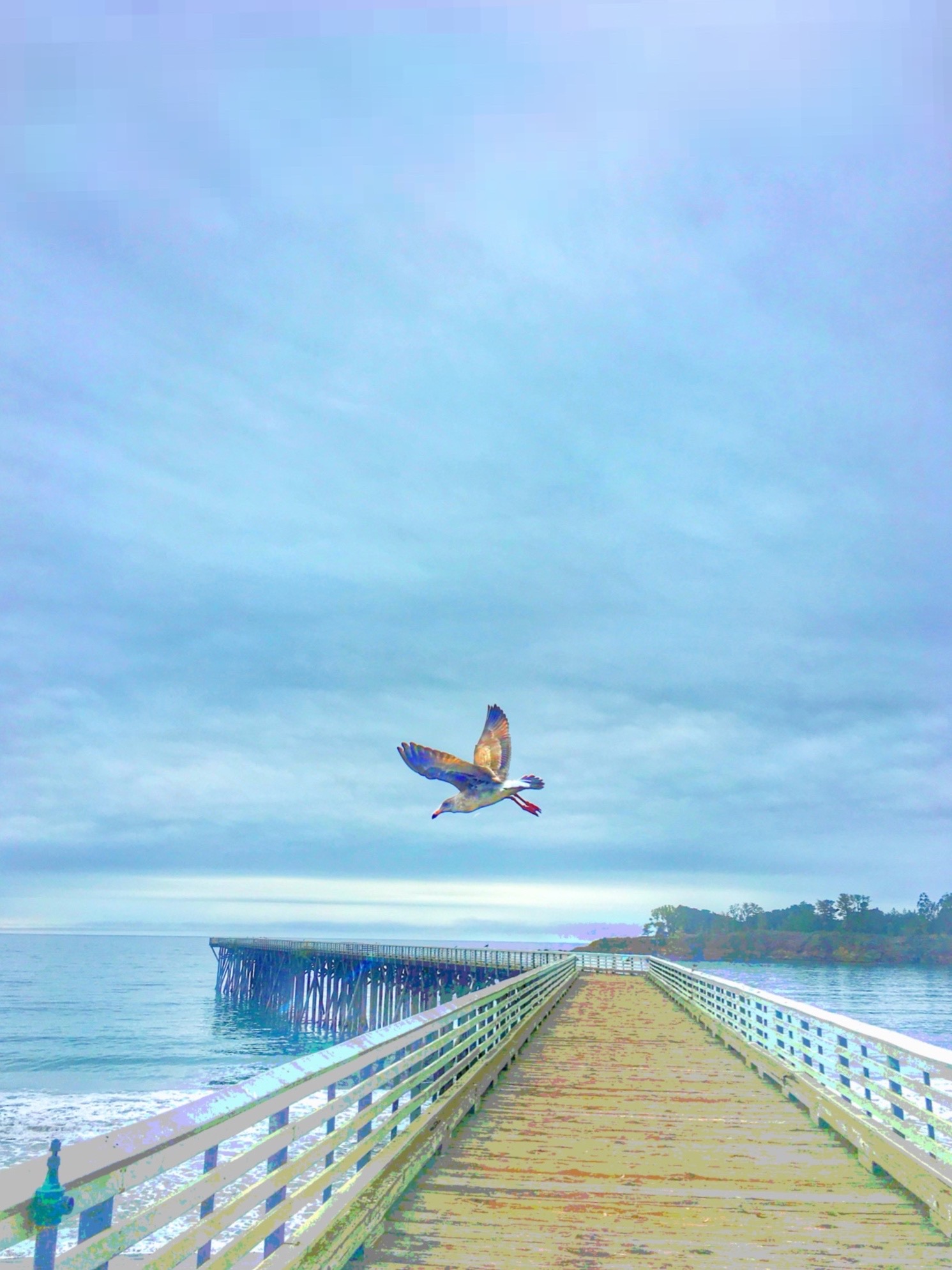 Knox Bronson - Word On A Wing