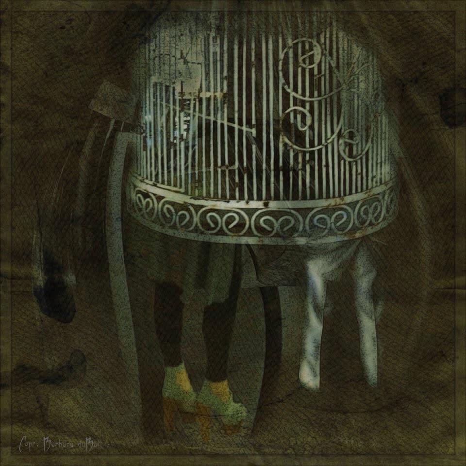 Barbara Dubois – Caged (2013)