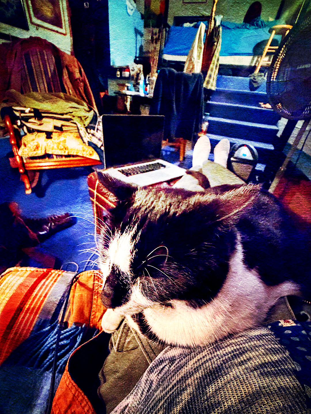 Knox Bronson – Besame Mucho