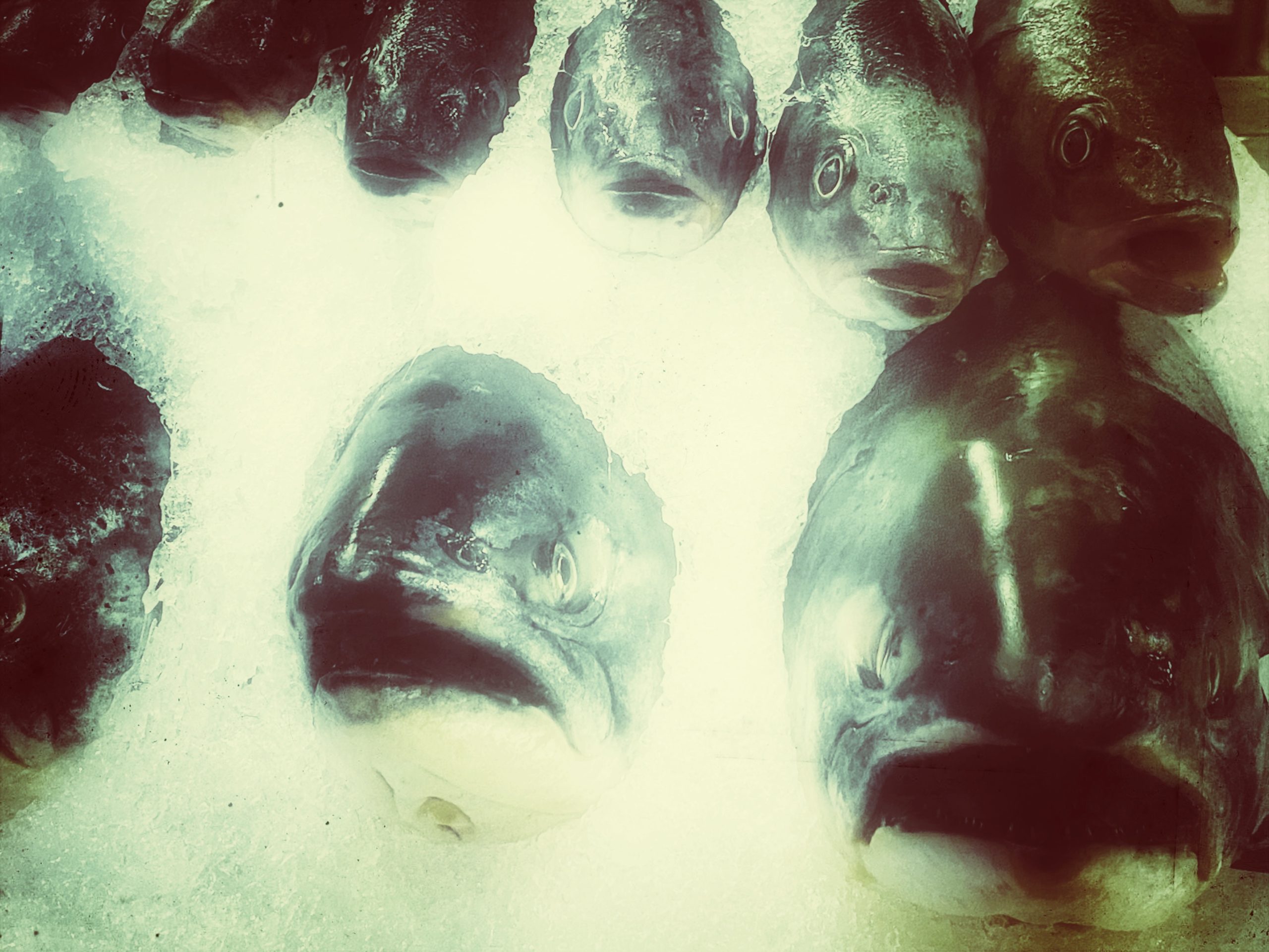 Knox Bronson – Me and the boys