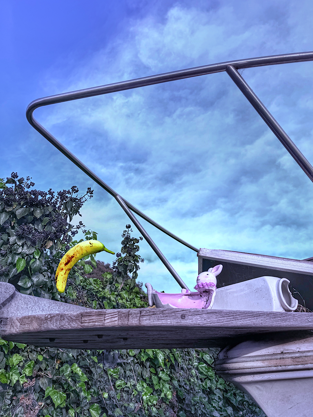 Knox Bronson - House calls