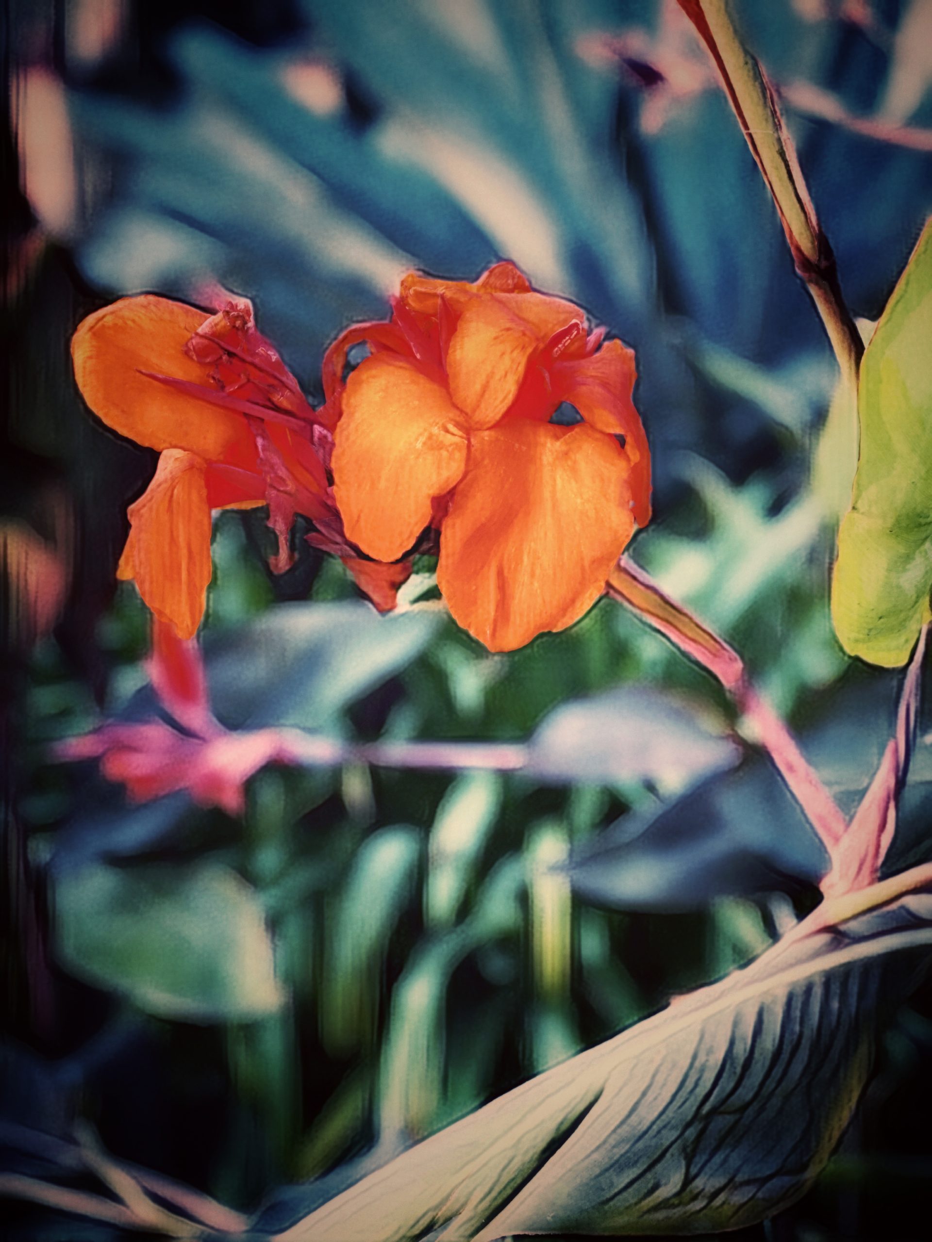 Knox Bronson - Solitude