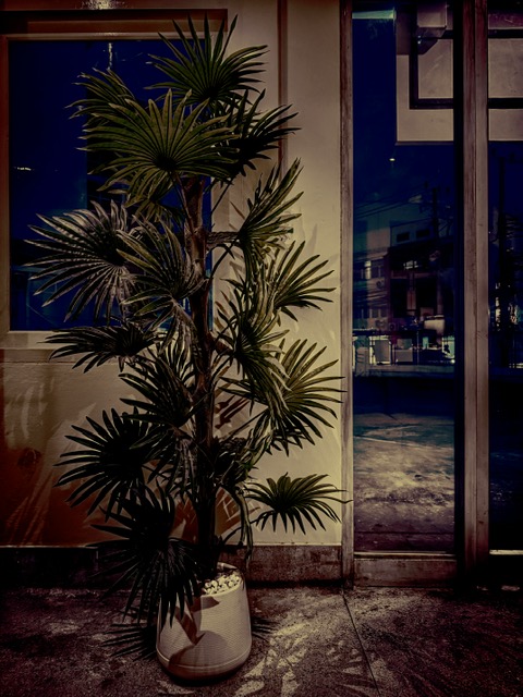 [sunday] Mark Daniels – Lobby of Indecision